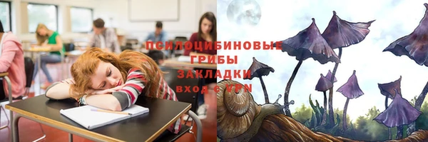 МДПВ Горно-Алтайск