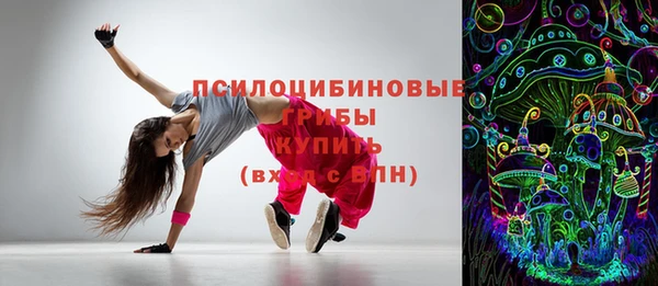 МДПВ Горно-Алтайск